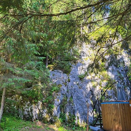 Pension Cabana Cetatile Ponorului ปาดิส ภายนอก รูปภาพ