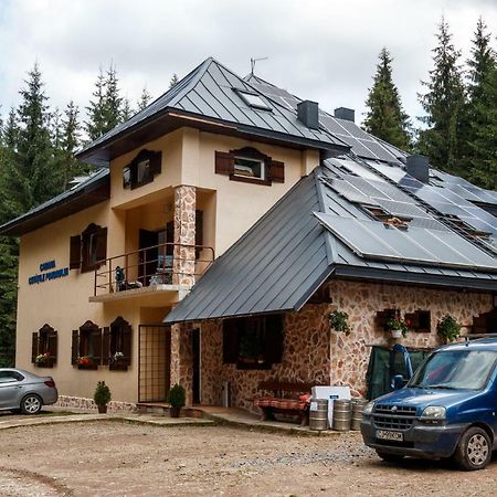 Pension Cabana Cetatile Ponorului ปาดิส ภายนอก รูปภาพ