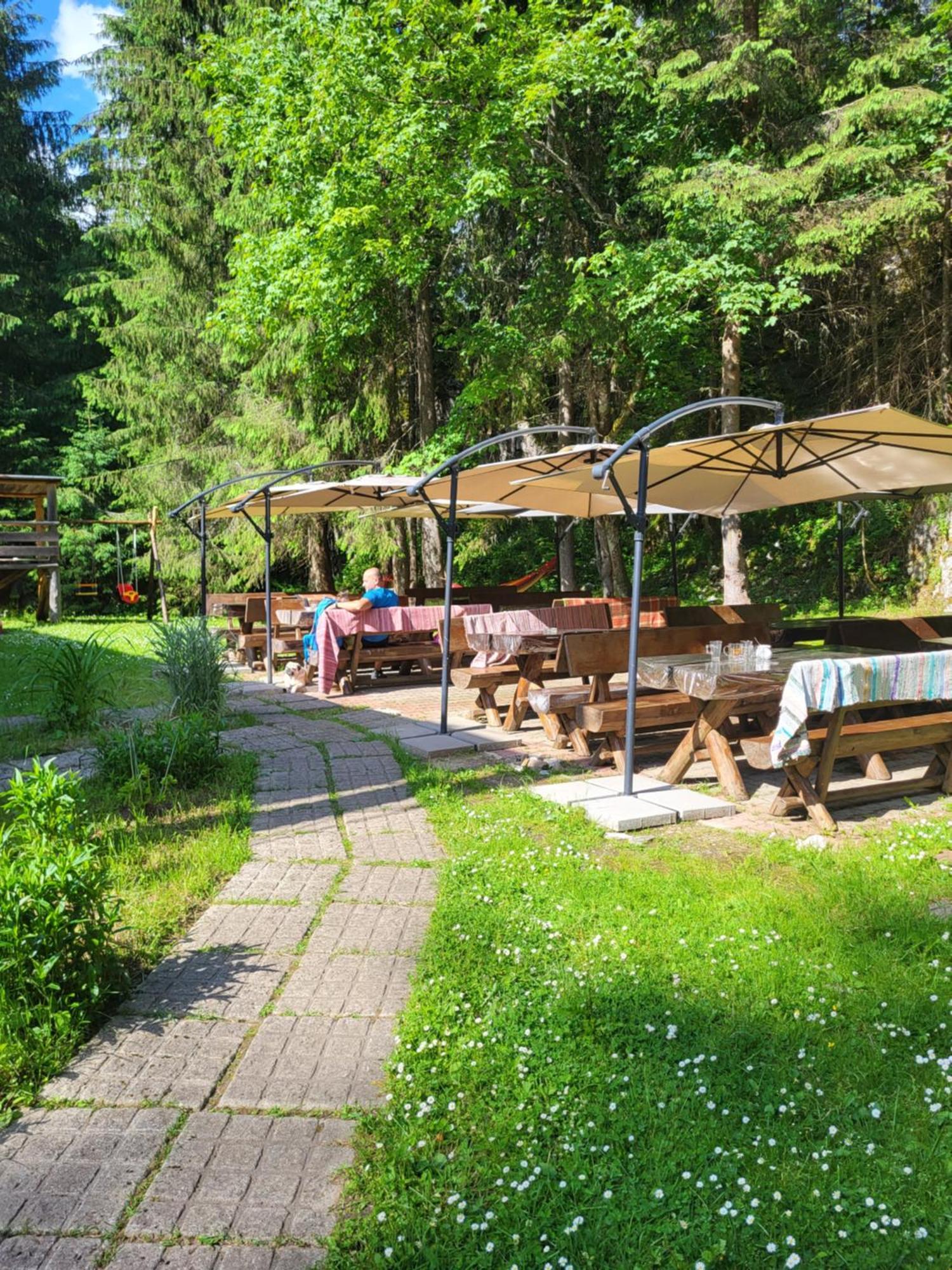 Pension Cabana Cetatile Ponorului ปาดิส ภายนอก รูปภาพ
