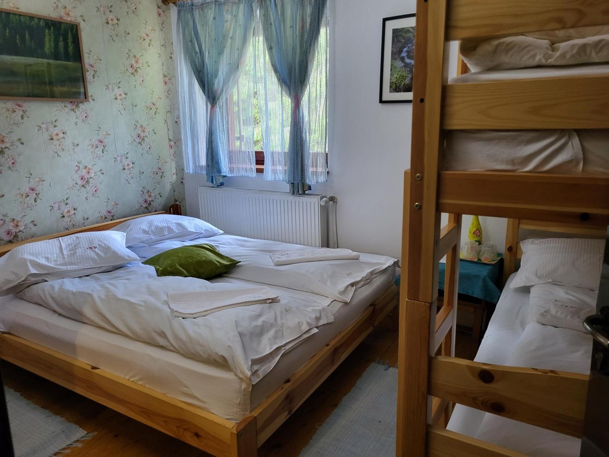 Pension Cabana Cetatile Ponorului ปาดิส ภายนอก รูปภาพ