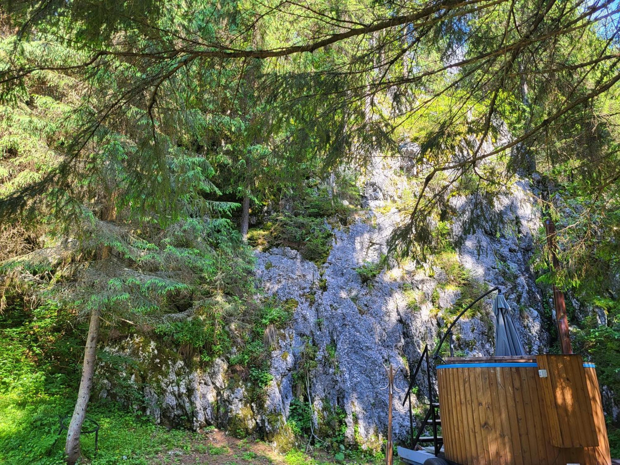Pension Cabana Cetatile Ponorului ปาดิส ภายนอก รูปภาพ